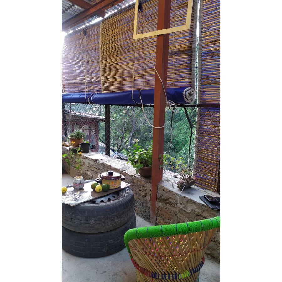 Shimla Gypsy - Home Stay Экстерьер фото